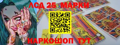 МДПВ Гатчина