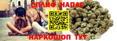 МДПВ Гатчина