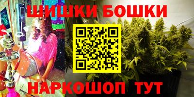 МДПВ Гатчина