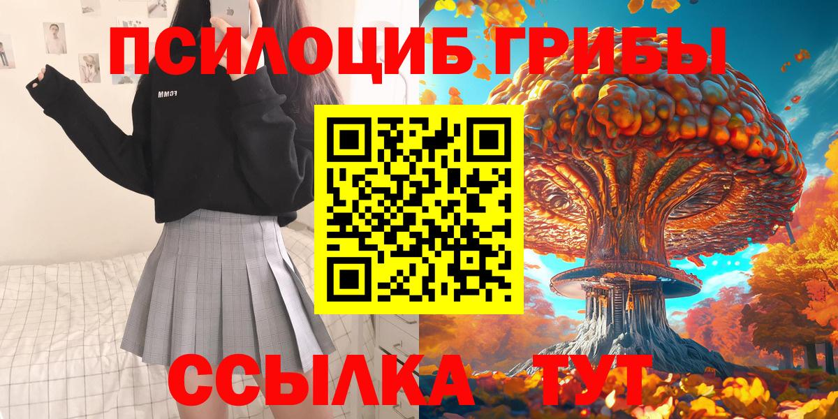 Галлюциногенные грибы ЛСД  Галлюциногенные грибы GOLDEN TEACHER  продажа наркотиков  Гай  Вход с VPN 