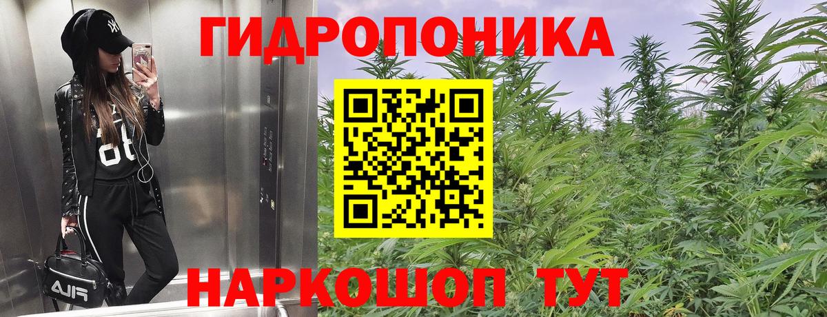 Гай  Марихуана Ganja  Шишки марихуана тримм  Вход с VPN 